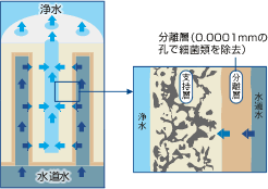 分離層（0.0001mmの孔で細菌類を除去）